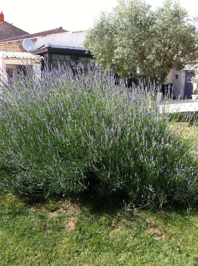 La Jarrie Leduc Panzió Kültér fotó